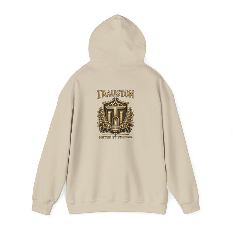 Hoodies apparel example